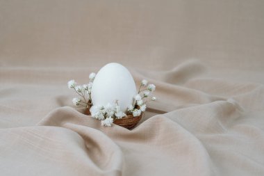 Çiçek yuvasında beyaz yumurta. Paskalya yumurtası. Paskalya kuşağı. 