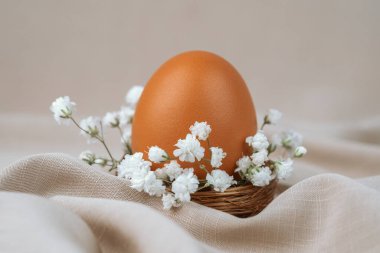 Çiçek yuvasında kahverengi yumurta. Paskalya yumurtası. Paskalya kuşağı. 