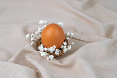 Çiçek yuvasında kahverengi yumurta. Paskalya yumurtası. Paskalya kuşağı. 