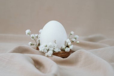 Çiçek yuvasında beyaz yumurta. Paskalya yumurtası. Paskalya kuşağı. 