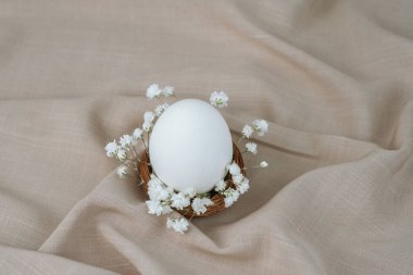 Çiçek yuvasında beyaz yumurta. Paskalya yumurtası. Paskalya kuşağı. 