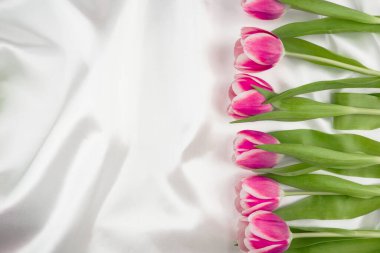 Beyaz ipeksi kumaşlı pembe laleler, mesaj için uygun bir yer. Bahar bayrağı. 