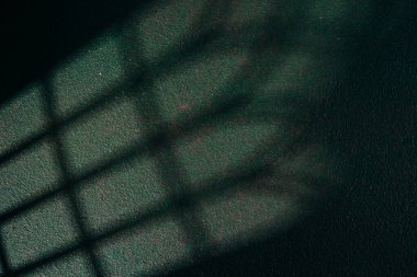 Koyu yeşil duvarda yumuşak pencere gölgeleri