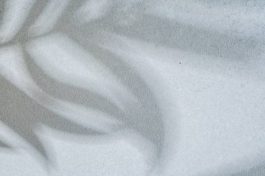 Yumuşak çiçekli gölgeler dokulu ışık duvarında