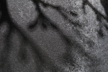 Koyu renk yüzeyde ağaç dalları var.