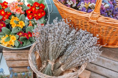 Renkli çiçekler ve kokulu lavanta bir markette sepetler halinde dizilmiş..