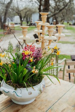 Bir saksının içindeki parlak çiçekler açık havada bir kır masasını dekore eder..