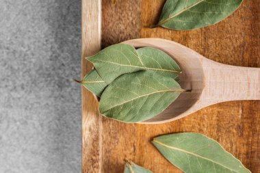 Taze hasat edilmiş körfez yaprakları bir masanın üzerinde tahta bir kaşıkta dizilmiş..