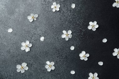 Narin beyaz çiçek yaprakları yumuşak bir şekilde koyu dokulu bir yüzeye dağılır..