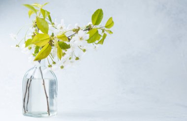 Narin beyaz çiçekler ve canlı yeşil yapraklar cam bir vazoda sergilenir..