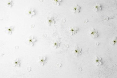 Yumuşak bir arkaplanda duran beyaz çiçek yaprakları bir huzur hissi uyandırır..