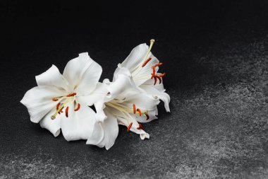 Canlı turuncu zambakları olan zarif beyaz zambaklar karanlıkta güzellik ve tazelik sergiliyor..