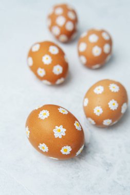 El boyaması Paskalya yumurtaları ve hafif arka planda papatyalar. Paskalya arka planı. 