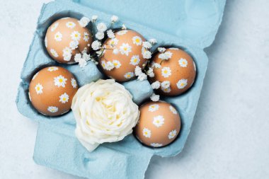 El boyaması Paskalya yumurtaları, papatya desenli beyaz güllü mavi bir karton. Işık arkaplanındaki Paskalya kompozisyonu