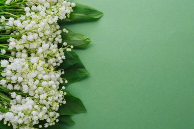 Yeşil arkaplanı olan bir demet nilüfer çiçeği.