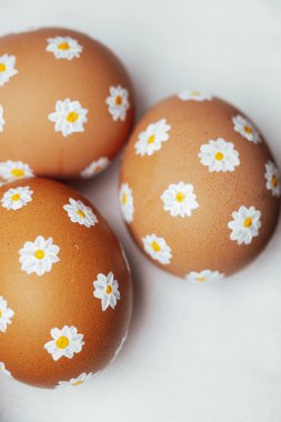 Elle boyanmış papatya çiçekli Paskalya yumurtaları. Yumuşak doğal ışıkta sanatsal bahar süslemesi
