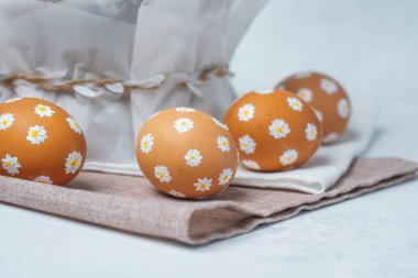 Paskalya papatyası boyalı yumurtalar, paskalya arkaplanı