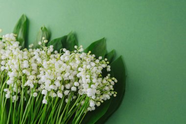 Beyaz çan şeklinde çiçekleri ve yeşil yaprakları olan vadili zambak.
