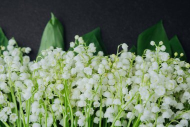 Siyah arka planda yeşil yaprakları olan bir buket nilüfer çiçeği.