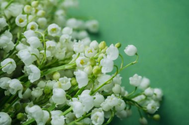 Vadi çiçeklerinin beyaz zambaklarına yaklaş makro arka plan