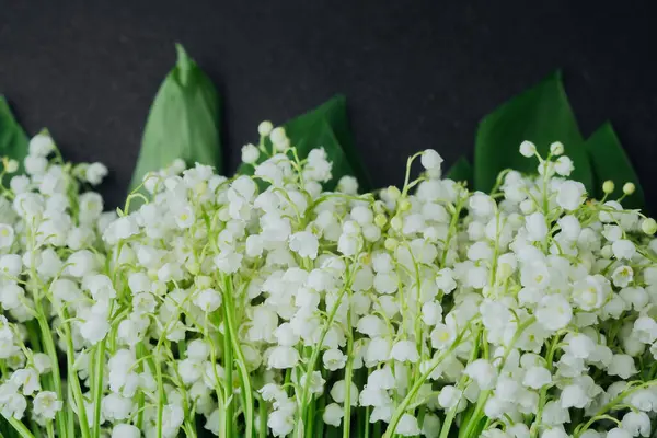 Siyah arka planda yeşil yaprakları olan bir buket nilüfer çiçeği.