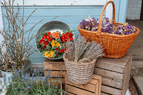 Renkli çiçekler ve kurumuş bitkiler mavi bir duvarın dışında ustalıkla düzenlenir..