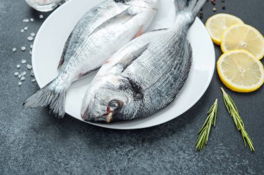 Çiğ dorado balığı, domatesli limon ve baharatlı beyaz tabak.