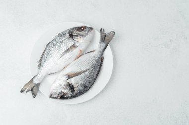 Beyaz tabakta, arka planda taze çiğ dorado balığı