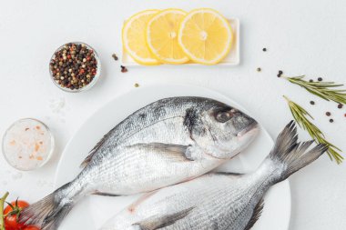 İki dorado balığını limon ve domatesli beyaz tabakta yakın.