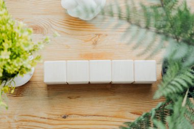 Ahşap bloklar dekoratif yeşillikle kırsal ahşabın üst görüntüsünü oluşturur.