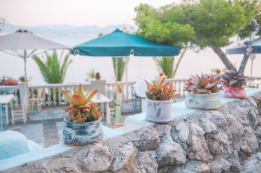 Yunanistan 'daki deniz kenarındaki kafe terasında sulu saksılar bulunuyor