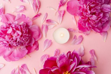 Pembe şakayıklar ve taç yaprakları. Pastel pembe arka planda yanan bir mum.