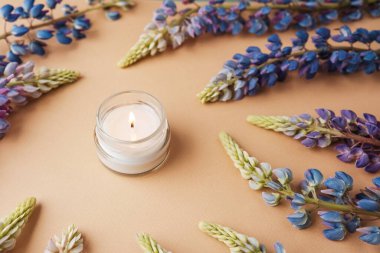 Bej arka planda mum ve lupin çiçekleri