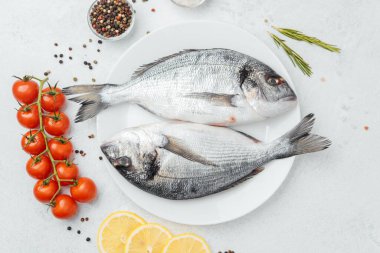 Domatesli çiğ dorado balığı limon ve baharatlar beyaz arka planda