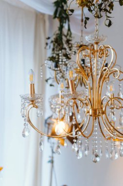 Güzel altın avize, kristal aksanlı ve yeşil bir alanı aydınlatan.