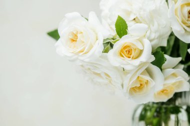 Yumuşak doğal ışıkta yeşil yapraklı beyaz gül buketine yaklaş