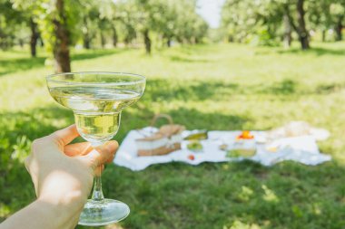 Piknik battaniyesinin yanındaki meyve bahçesinde el ele tutuşan şarap kadehleri yaz kutlaması ve keyifli bir eğlence için.