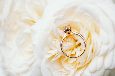 Beyaz gül arkaplanındaki nişan yüzüğü