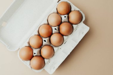 Kahverengi yumurtalar bej arka planda beyaz karton içinde düz yatıyordu