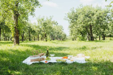 Meyve ve peynirli beyaz piknik battaniyesi yaz yemeği, organik gıda ve tatil rahatlama kavramları için meyve bahçesinde