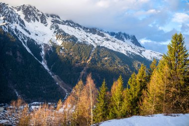 Turizm, kış sporları ve manzaralı seyahat temaları için karla kaplı yamaçları ve çam ağaçları olan Chamonix Vadisi manzarası