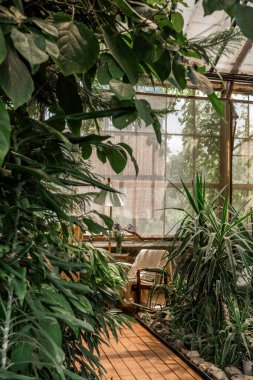 Konfor, huzur ve çevre dostu iç mekan kavramları için tropikal yapraklar içeren kırsal sera okuma köşesi