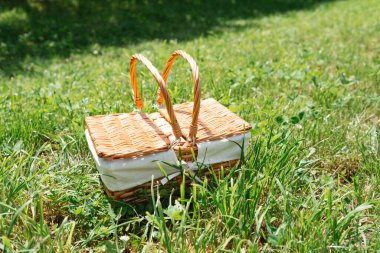 Kırsal yaşam tarzı, durgunluk ve yaz sadeliği kavramları için yeşil çimlerin üzerinde tek başına duran hasır piknik sepeti.