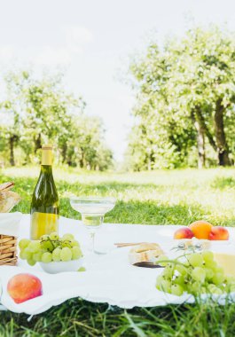 Kırsal yaşam tarzı ve aile eğlencesi kavramları için meyve bahçesinde piknik battaniyesinde sepet ve şarap.