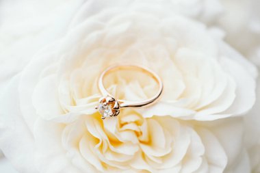 Beyaz gül arkaplanındaki nişan yüzüğü