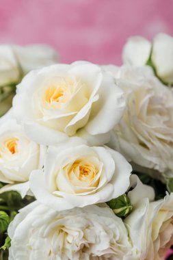 Pembe arka planda bukette beyaz güllerin yakın plan görüntüsü