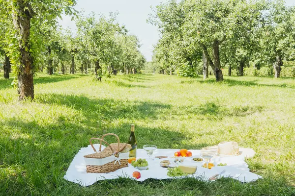 Meyve ve peynirli beyaz piknik battaniyesi yaz yemeği, organik gıda ve tatil rahatlama kavramları için meyve bahçesinde