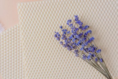 Balmumu çarşaflı lavanta buketi pastel arka planda