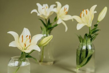 Yeşil arka planda sarı zambaklı üç temiz vazo.