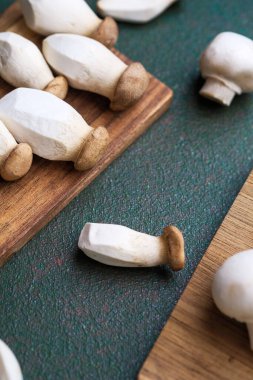 Hasat çeşitliliği veya vejetaryen pişirme konsepti için koyu yeşil arka planı olan çeşitli mantarlar.